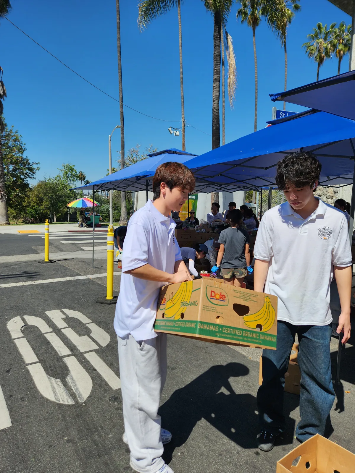 Carrying supplies together